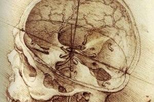 da vinci skull